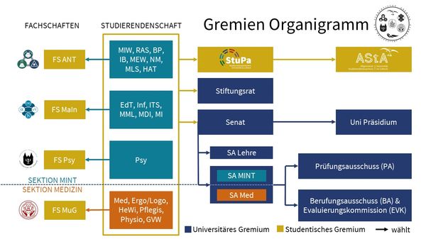 Organigram der Gremien